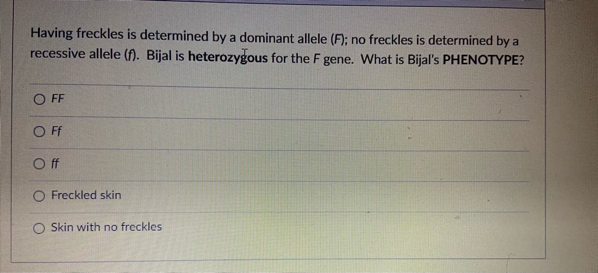Having freckles is determined by a dominant allele (F); no freckles is determined by a
recessive allele (f). Bijal is heterozygous for the F gene. What is Bijal's PHENOTYPE?
FF
OFf
O Freckled skin
O Skin with no freckles
