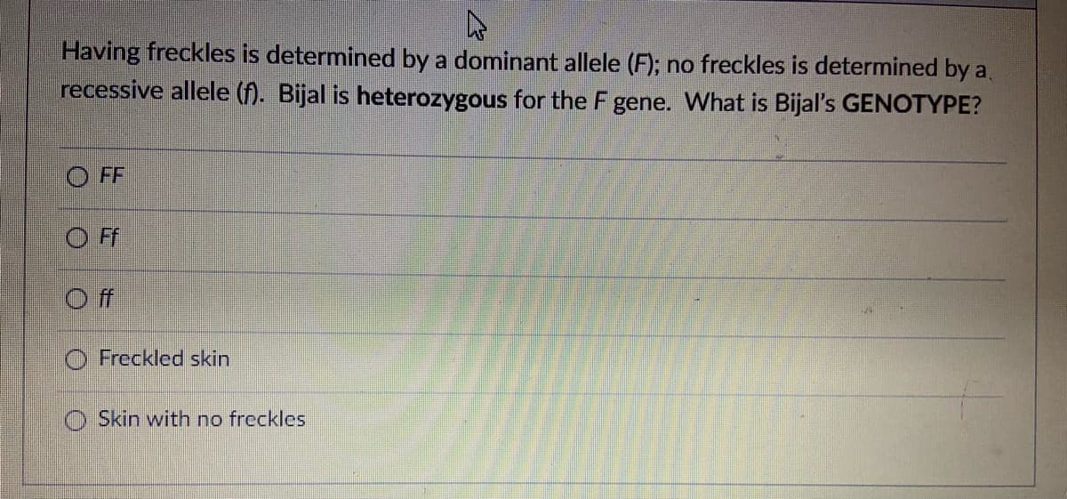 Having freckles is determined by a dominant allele (F); no freckles is determined by a
recessive allele (f). Bijal is heterozygous for the F gene. What is Bijal's GENOTYPE?
O FF
O Freckled skin
O Skin with no freckles
