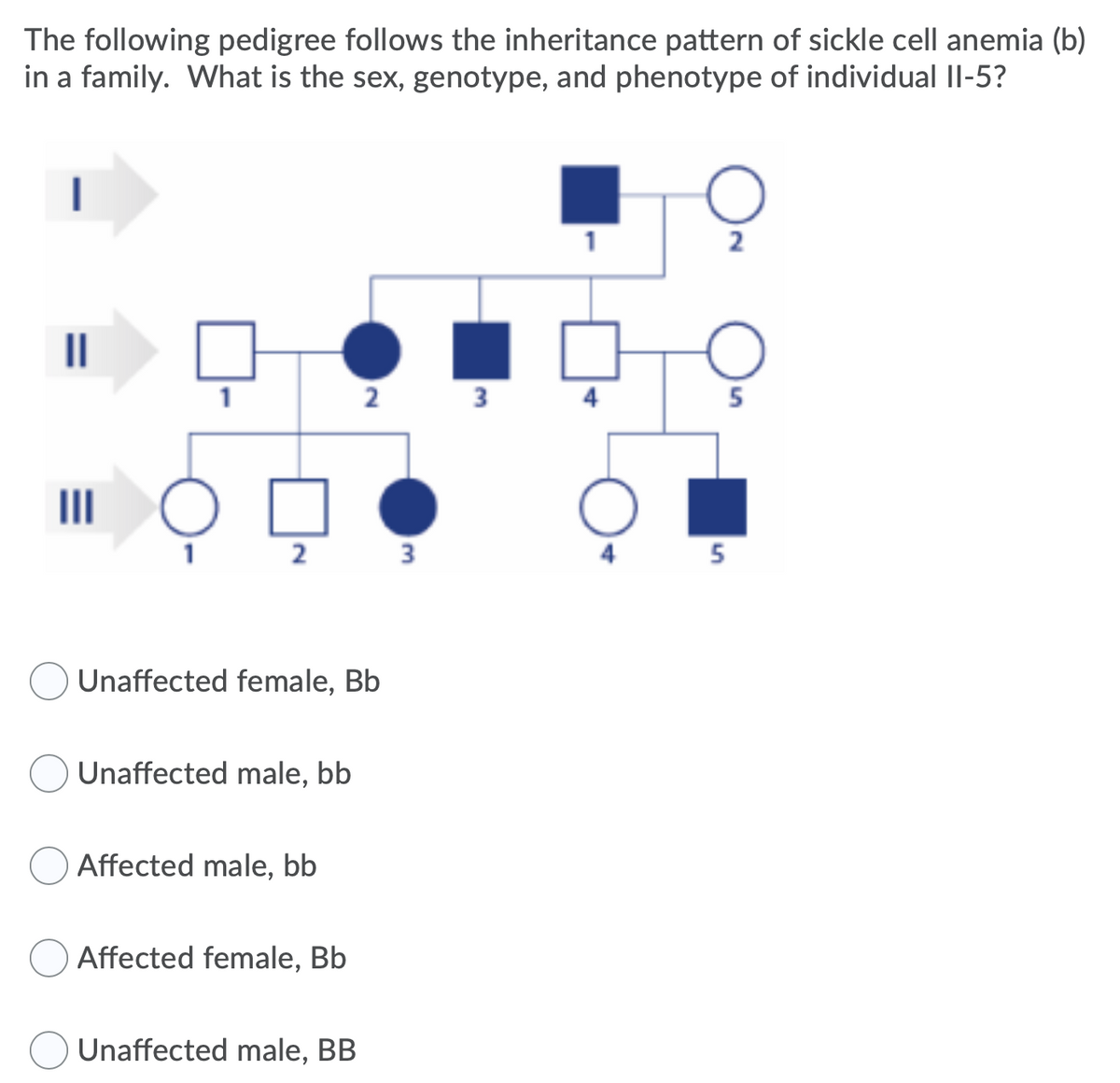 The following pedigree follows the inheritance pattern of sickle cell anemia (b)
in a family. What is the sex, genotype, and phenotype of individual II-5?
1
II
2 3
5
2
3
4
5
Unaffected female, Bb
Unaffected male, bb
Affected male, bb
Affected female, Bb
Unaffected male, BB

