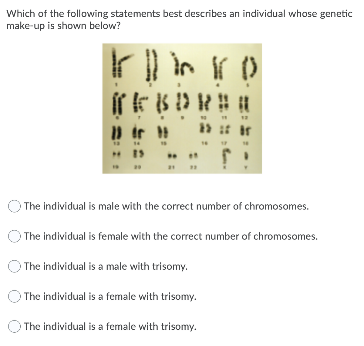 Which of the following statements best describes an individual whose genetic
make-up is shown below?
in
()
10
11
12
13
14
15
16
17
18
19
20
21 22
The individual is male with the correct number of chromosomes.
The individual is female with the correct number of chromosomes.
The individual is a male with trisomy.
The individual is a female with trisomy.
The individual is a female with trisomy.
