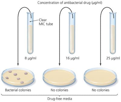 Concentration of antibacterial drug (ug/ml)
Clear
MIC tube
8 ug/ml
16 μgml
25 ug/ml
Bacterial colonies
No colonies
No colonies
Drug-free media
