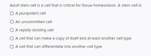 Adult stem cell is a cell that is critical for tissue homeostasis. A stem cell is:
O A pluripotent cell
An uncommitted cell
O A rapidly dividing cell
O A cell that can make a copy of itself and at least another cell type
A cell that can differentiate into another cell type
