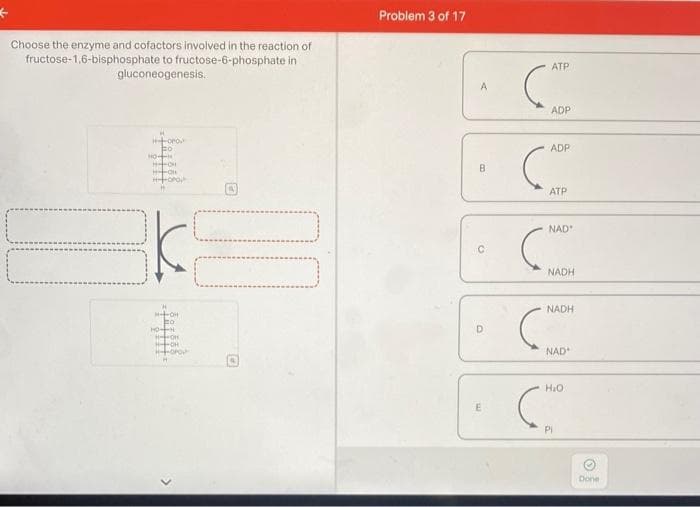 ←
Choose the enzyme and cofactors involved in the reaction of
fructose-1,6-bisphosphate to fructose-6-phosphate in
gluconeogenesis.
--OPO
FO
HOM
H-HOHE
H-TOPOP
"1
3k
H
H-OH
1
HOT-H
H-OH
H--OH
HOPOL
00
Problem 3 of 17
A
В
B
D
E
(A
ATP
ADP
ADP
(D
ATP
NAD
(M
NADH
(
NADH
NAD
H₂O
Cº
Pi
O
Done