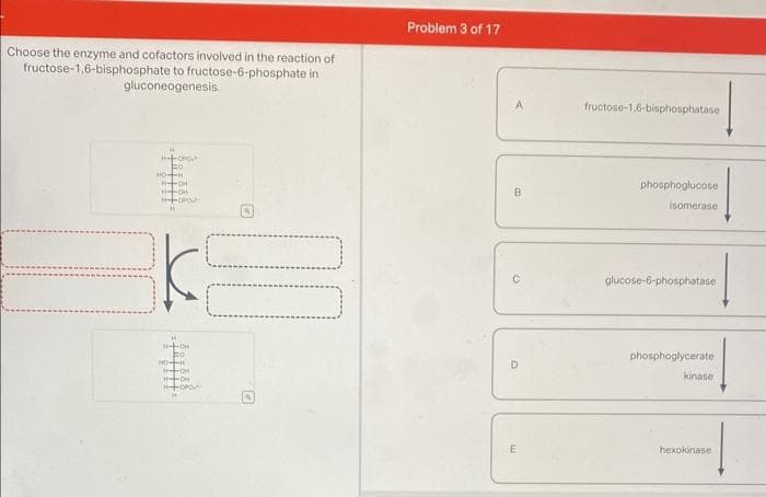 Choose the enzyme and cofactors involved in the reaction of
fructose-1,6-bisphosphate to fructose-6-phosphate in
gluconeogenesis.
H
H-TOPO
Fo
HOTH
HDH
HOH
MOTOPOP
K E
H-TOH
H
OPO
Problem 3 of 17
A
B
Q
D
E
fructose-1,6-bisphosphatase
phosphoglucose
isomerase
glucose-6-phosphatase
phosphoglycerate
kinase
hexokinase