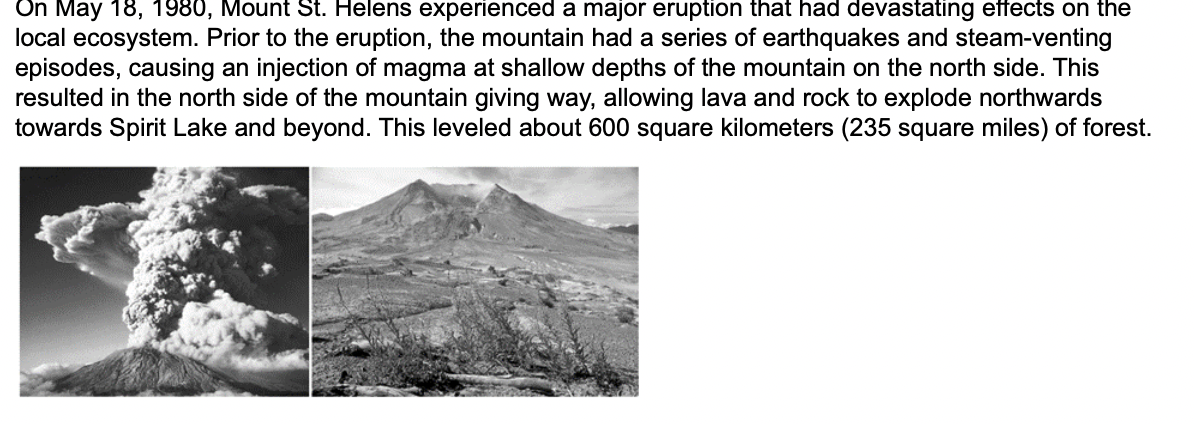 On May 18, 1980, Mount St. Helens experienced a major eruption that had devastating effects on the
local ecosystem. Prior to the eruption, the mountain had a series of earthquakes and steam-venting
episodes, causing an injection of magma at shallow depths of the mountain on the north side. This
resulted in the north side of the mountain giving way, allowing lava and rock to explode northwards
towards Spirit Lake and beyond. This leveled about 600 square kilometers (235 square miles) of forest.
