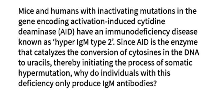 Mice and humans with inactivating mutations in the
gene encoding activation-induced cytidine
deaminase (AID) have an immunodeficiency disease
known as 'hyper IgM type 2'. Since AID is the enzyme
that catalyzes the conversion of cytosines in the DNA
to uracils, thereby initiating the process of somatic
hypermutation, why do individuals with this
deficiency only produce IgM antibodies?
