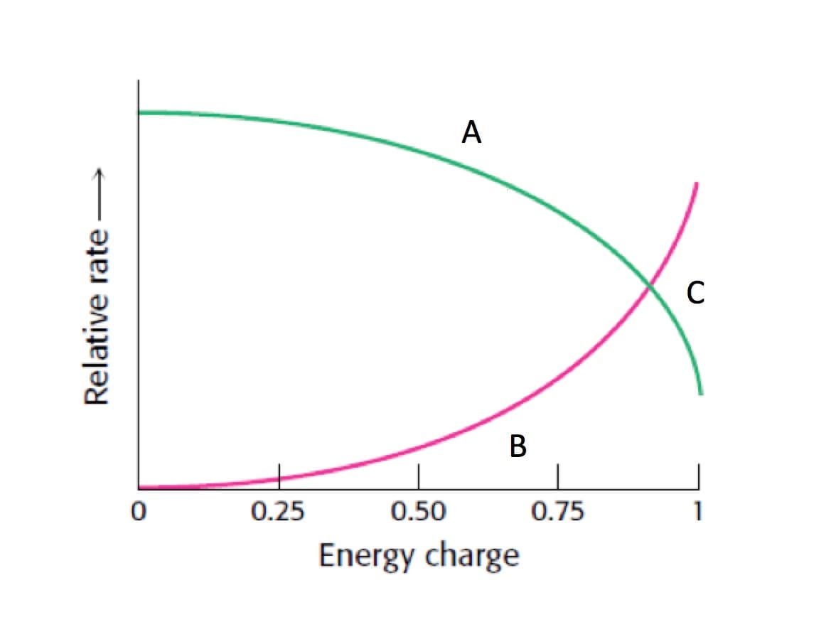 -
Relative rate
0
0.25
0.50
A
B
Energy charge
0.75
C
1