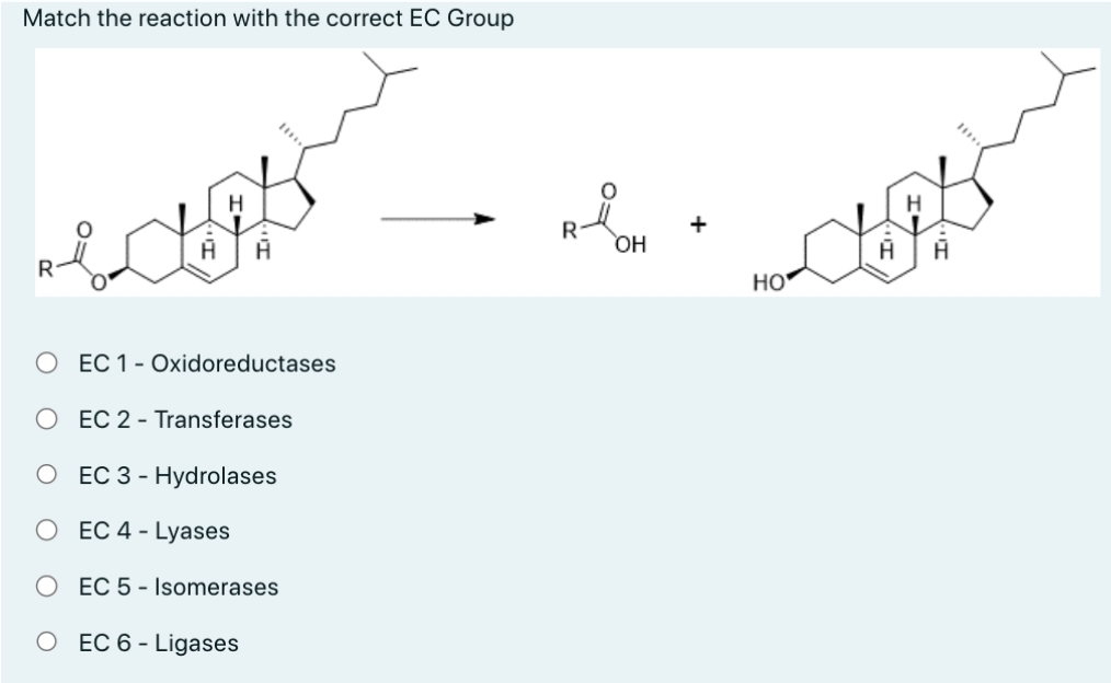 Match the reaction with the correct EC Group
H
A A
EC 1 - Oxidoreductases
EC 2 - Transferases
EC 3 - Hydrolases
EC 4 - Lyases
EC 5 Isomerases
O EC 6-Ligases
OH
HO
A
A