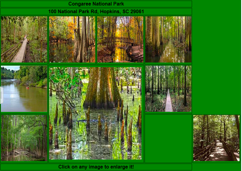 Congaree National Park
100 National Park Rd, Hopkins, SC 29061
Click on any image to enlarge it!
