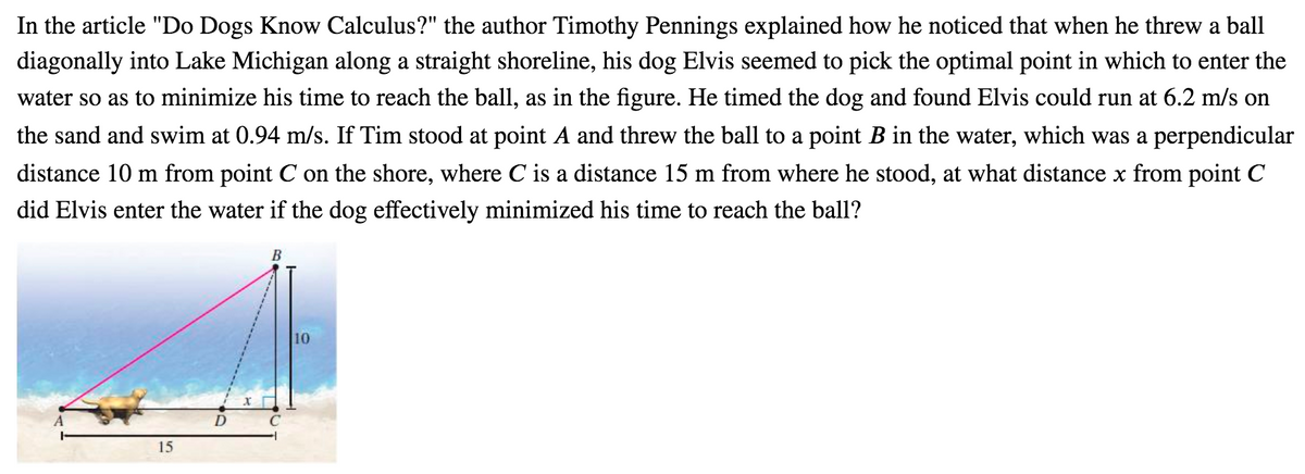 In the article "Do Dogs Know Calculus?" the author Timothy Pennings explained how he noticed that when he threw a ball
diagonally into Lake Michigan along a straight shoreline, his dog Elvis seemed to pick the optimal point in which to enter the
water so as to minimize his time to reach the ball, as in the figure. He timed the dog and found Elvis could run at 6.2 m/s on
the sand and swim at 0.94 m/s. If Tim stood at point A and threw the ball to a point B in the water, which was a perpendicular
distance 10 m from point C on the shore, where C is a distance 15 m from where he stood, at what distance x from point C
did Elvis enter the water if the dog effectively minimized his time to reach the ball?
B
10
D
C
15
