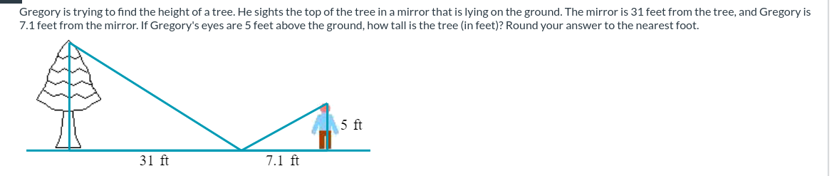 Gregory is trying to find the height of a tree. He sights the top of the tree in a mirror that is lying on the ground. The mirror is 31 feet from the tree, and Gregory is
7.1 feet from the mirror. If Gregory's eyes are 5 feet above the ground, how tall is the tree (in feet)? Round your answer to the nearest foot.
31 ft
7.1 ft
5 ft