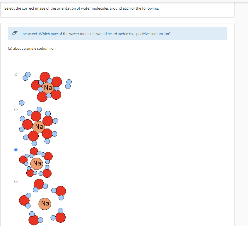 Select the correct image of the orientation of water molecules around each of the following:
Incorrect. Which part of the water molecule would be attracted to a positive sodium ion?
(a) about a single sodium ion
Na
Na
Na
Na