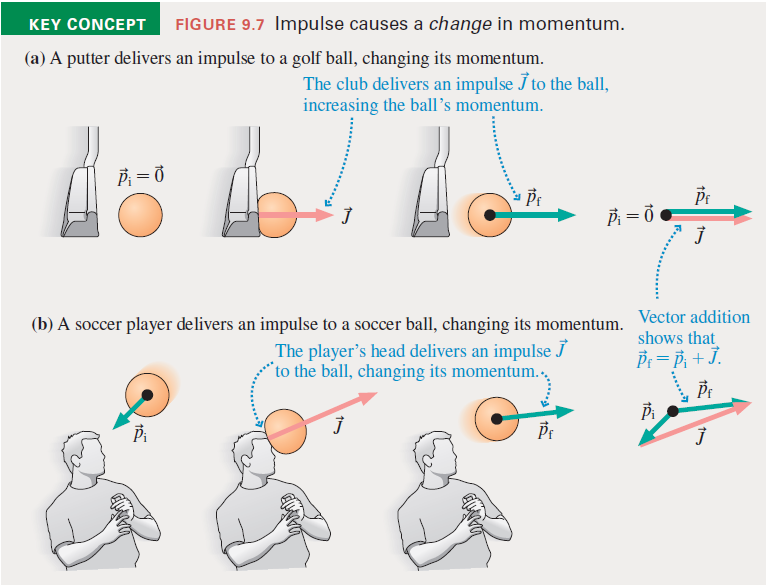 KEY CONCEPT
FIGURE 9.7 Impulse causes a change in momentum.
(a) A putter delivers an impulse to a golf ball, changing its momentum.
The club delivers an impulse J to the ball,
increasing the ball's momentum.
Pr
P = ở •
(b) A soccer player delivers an impulse to a soccer ball, changing its momentum. Vector addition
The player's head delivers an impulse J
"to the ball, changing its momentum.,
shows that
P1 = B, + J.
....
