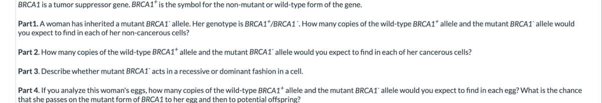 BRCA1 is a tumor suppressor gene. BRCA1* is the symbol for the non-mutant or wild-type form of the gene.
Part1. A woman has inherited a mutant BRCA1 allele. Her genotype is BRCA1*/BRCA1". How many copies of the wild-type BRCA1+ allele and the mutant BRCA1 allele would
you expect to find in each of her non-cancerous cells?
Part 2. How many copies of the wild-type BRCA1* allele and the mutant BRCA1¯ allele would you expect to find in each of her cancerous cells?
Part 3. Describe whether mutant BRCA1° acts in a recessive or dominant fashion in a celI.
Part 4. If you analyze this woman's eggs, how many copies of the wild-type BRCA1* allele and the mutant BRCA1¯ allele would you expect to find in each egg? What is the chance
that she passes on the mutant form of BRCA1 to her egg and then to potential offspring?

