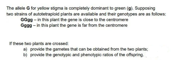 The allele G for yellow stigma is completely dominant to green (g). Supposing
two strains of autotetraploid plants are available and their genotypes are as follows:
GGgg – in this plant the gene is close to the centromere
Gggg – in this plant the gene is far from the centromere
If these two plants are crossed:
a) provide the gametes that can be obtained from the two plants;
b) provide the genotypic and phenotypic ratios of the offspring.
