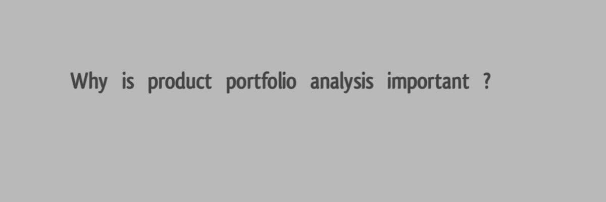 Why is product portfolio analysis important ?
