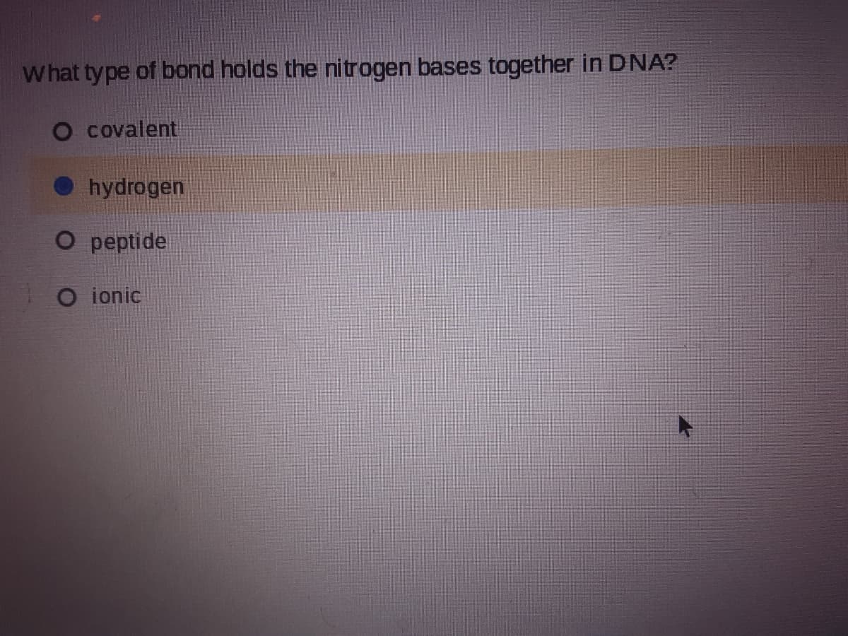 What type of bond holds the nitrogen bases together in DNA?
O covalent
hydrogen
O peptide
O ionic
