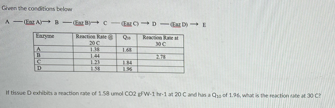 Given the conditions below
A (Enz A)→ B-(Enz B) C
(Enz C) D
(Enz D) →E
Enzyme
Reaction Rate @
Q1o
Reaction Rate at
20 C
30 C
A
1.38
1.68
1.44
2.78
C
1.23
1.84
1.58
1.96
If tissue D exhibits a reaction rate of 1.58 umol CO2 gFW-1 hr-1 at 20 C and has a Q10 of 1.96, what is the reaction rate at 30 C?
