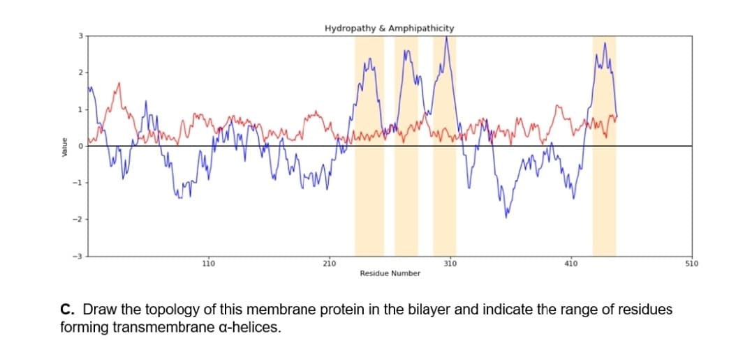 Hydropathy & Amphipathicity
2
-1
-2-
110
210
310
410
510
Residue Number
C. Draw the topology of this membrane protein in the bilayer and indicate the range of residues
forming transmembrane a-helices.

