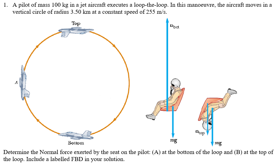 1. A pilot of mass 100 kg in a jet aircraft executes a loop-the-loop. In this manoeuvre, the aircraft moves in a
vertical circle of radius 3.50 km at a constant speed of 255 m/s.
Top
Obd
Pop
mg
Bottom
mg
Determine the Normal force exerted by the seat on the pilot: (A) at the bottom of the loop and (B) at the top of
the loop. Include a labelled FBD in your solution.