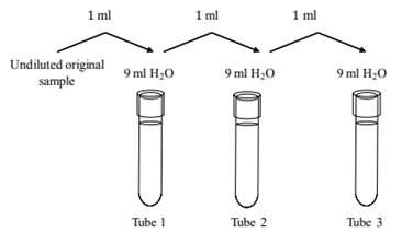1 ml
1 ml
1 ml
Undiluted original
sample
9 ml H;0
9 ml H,0
9 ml H;0
Tube 1
Tube 2
Tube 3
