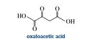 НО
-Он
OH
oxaloacetic acid
