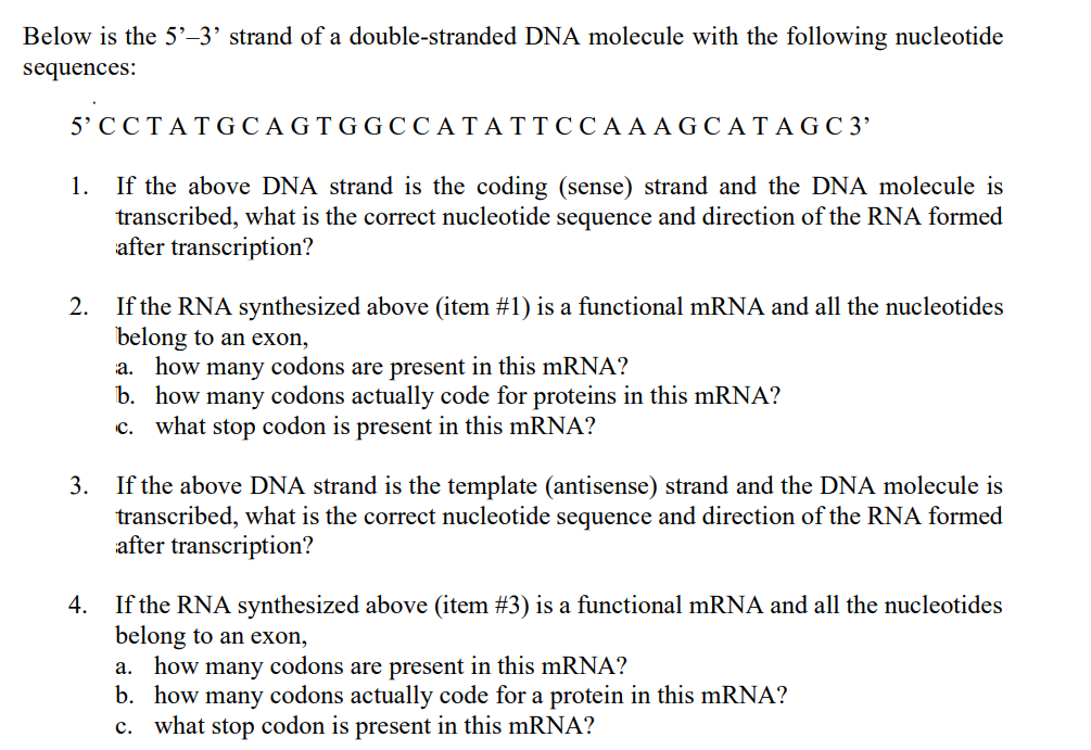 Below is the 5'-3' strand of a double-stranded DNA molecule with the following nucleotide
sequences:
5' CCTATGCAGTGGCCATATTCCAAAGCATAGC 3'
1.
If the above DNA strand is the coding (sense) strand and the DNA molecule is
transcribed, what is the correct nucleotide sequence and direction of the RNA formed
after transcription?
2. If the RNA synthesized above (item #1) is a functional mRNA and all the nucleotides
belong to an exon,
a. how many codons are present in this mRNA?
b. how many codons actually code for proteins in this mRNA?
c. what stop codon is present in this mRNA?
3.
If the above DNA strand is the template (antisense) strand and the DNA molecule is
transcribed, what is the correct nucleotide sequence and direction of the RNA formed
after transcription?
4.
If the RNA synthesized above (item #3) is a functional mRNA and all the nucleotides
belong to an exon,
a. how many codons are present in this mRNA?
b. how many codons actually code for a protein in this mRNA?
c. what stop codon is present in this mRNA?