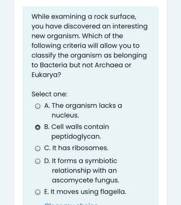 While examining a rock surface,
you have discovered an interesting
new organism. Which of the
following criteria will allow you to
classify the organism as belonging
to Bacteria but not Archaea or
Eukarya?
Select one:
O A. The organism lacks a
nucleus.
O B. Cell walls contain
peptidoglycan.
O C. It has ribosomes.
O D. It forms a symbiotic
relationship with an
ascomycete fungus.
O E. It moves using flagella.
