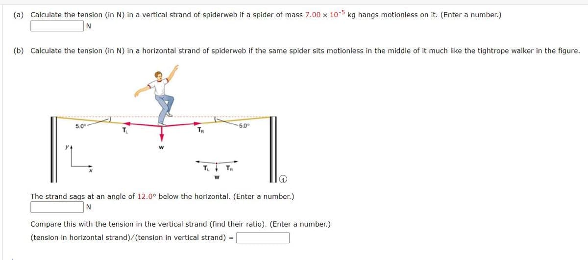 (a) Calculate the tension (in N) in a vertical strand of spiderweb if a spider of mass 7.00 x 105 kg hangs motionless on it. (Enter a number.)
N
(b) Calculate the tension (in N) in a horizontal strand of spiderweb if the same spider sits motionless in the middle of it much like the tightrope walker in the figure.
5.0°
5,0°
T.
TR
T I Ta
w
The strand sags at an angle of 12.0° below the horizontal. (Enter a number.)
N
Compare this with the tension in the vertical strand (find their ratio). (Enter a number.)
(tension in horizontal strand)/(tension in vertical strand) =
