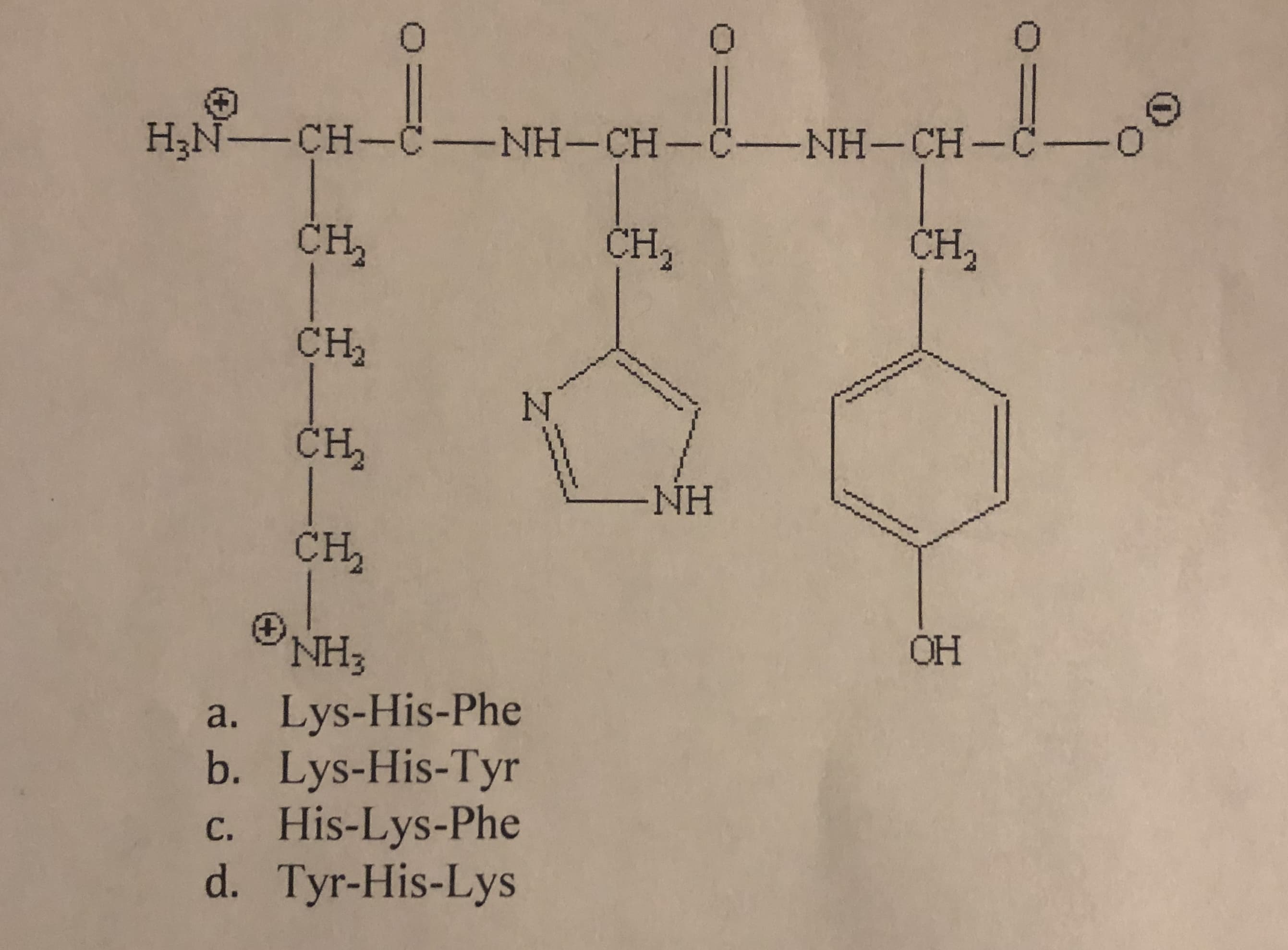 0
0
0
H3NCH-C-NH-CH-CNH-CH-C-
сH
CH2
CH2
CH2
NA
CH2
-NH
CH2
OH
NH3
a. Lys-His-Phe
b. Lys-His-Tyr
c. His-Lys-Phe
d. Tyr-His-Lys
