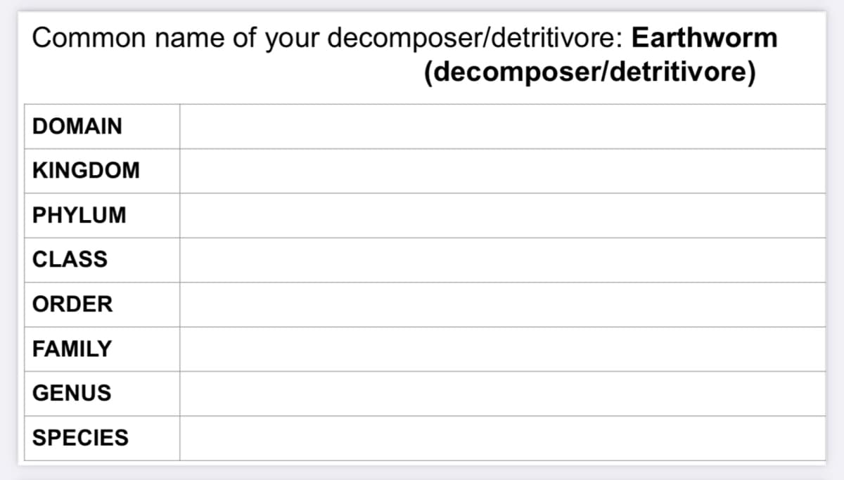 Common name of your decomposer/detritivore: Earthworm
(decomposer/detritivore)
DOMAIN
KINGDOM
PHYLUM
CLASS
ORDER
FAMILY
GENUS
SPECIES
