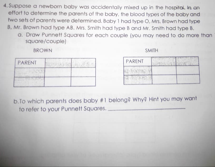 4. Suppose a newborn baby was accidentally mixed up in the hospital. In an
effort to determine the parents of the baby, the blood types of the baby and
two sets of parents were determined. Baby 1 had type O, Mrs. Brown had type
B. Mr. Brown had type AB. Mrs. Smith had type B and Mr. Smith had type B.
a. Draw Punnett Squares for each couple (you may need to do more than
square/couple)
BROWN
SMITH
PARENT
PARENT
b.To which parents does baby #1 belong? Why? Hint you may want
to refer to your Punnett Squares.
