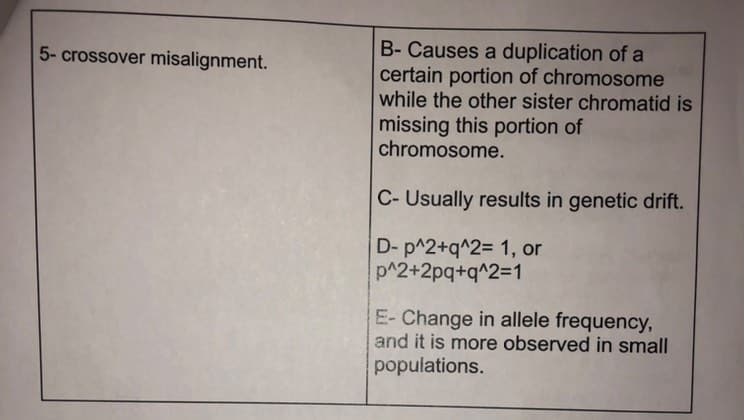 5- crossover misalignment.
B- Causes a duplication of a
certain portion of chromosome
while the other sister chromatid is
missing this portion of
chromosome.
C-Usually results in genetic drift.
D- p^2+q^2= 1, or
p^2+2pq+q^2=1
E- Change in allele frequency,
and it is more observed in small
populations.