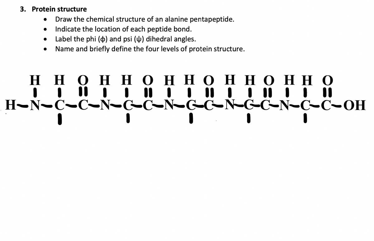 3. Protein structure
Draw the chemical structure of an alanine pentapeptide.
Indicate the location of each peptide bond.
Label the phi (4) and psi () dihedral angles.
Name and briefly define the four levels of protein structure.
HH OHH OHH OHH OHH O
H-N-C-C-N-C-C-N-G-G-N-GG-N-C-C-OH