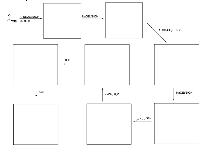 OEt
1. NaOEI/EtOH
2. dil. H+
heat
dil H*
NaOEt/EtOH
NaOH, H₂O
OTS
1. CH₂CH₂CH₂Br
NaOEt/EtOH
