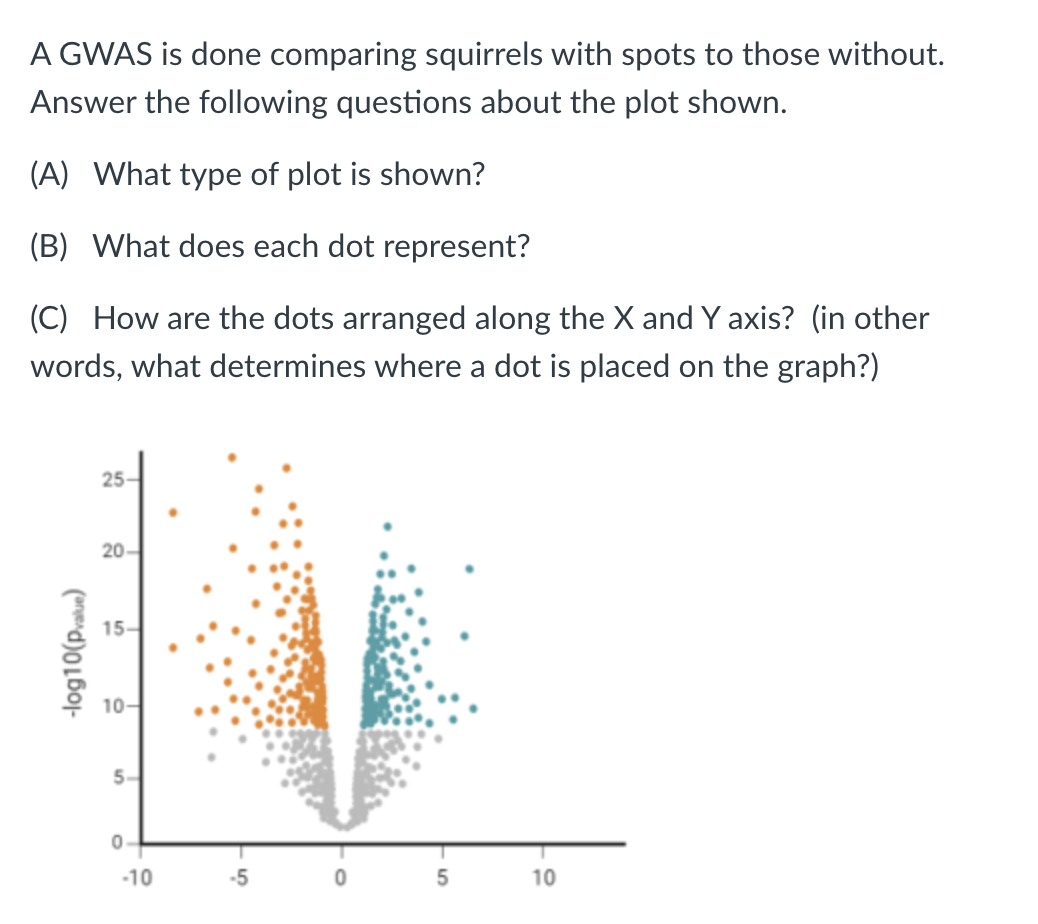 A GWAS is done comparing squirrels with spots to those without.
Answer the following questions about the plot shown.
(A) What type of plot is shown?
(B) What does each dot represent?
(C) How are the dots arranged along the X and Y axis? (in other
words, what determines where a dot is placed on the graph?)
-log10(pvalue)
25-
20-
15-
10-
5-
0
-10
5
10