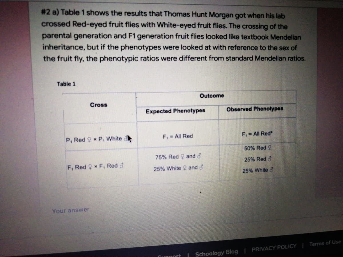 # 2 a) Table 1 shows the results that Thomas Hunt Morgan got when his lab
crossed Red-eyed fruit flies with White-eyed fruit flies. The crossing of the
parental generation and F1 generation fruit flies looked like textbook Mendelian
inheritance, but if the phenotypes were looked at with reference to the sex of
the fruit fly, the phenotypic ratios were different from standard Mendelian ratios.
Table 1
Outcome
Cross
Expected Phenotypes
Observed Phenotypes
F, = All Red
F,- All Red
P, Red 9 x P, White
50% Red 9
75% Red 9 and &
25% Red d
F, Red 9 x F, Red d
25% White ? and d
25% White d
Your answer
Cupport
| Schoology Blog | PRIVACY POLICY | Terms of Use
