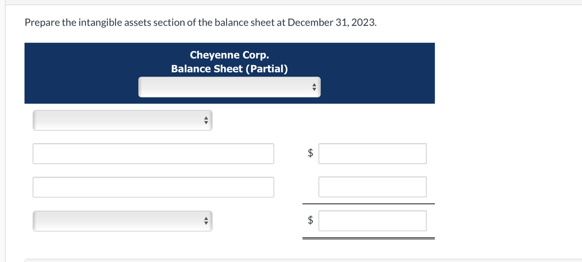 Prepare the intangible assets section of the balance sheet at December 31, 2023.
Cheyenne Corp.
Balance Sheet (Partial)
$
+A
$