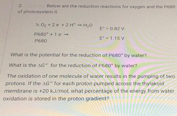 Below are the reduction reactions for oxygen and the P680
12 0₂ +2e + 2 H+ → H₂O
E° = 0.82 V
P680* + 1 e
E° = 1.15 V
P680
What is the potential for the reduction of P680* by water?
What is the AG" for the reduction of P680+ by water?
The oxidation of one molecule of water results in the pumping of two
protons. If the AG" for each proton pumped across the thylakoid
membrane is +20 kJ/mol, what percentage of the energy from water
oxidation is stored in the proton gradient?
2.
of photosystem II.