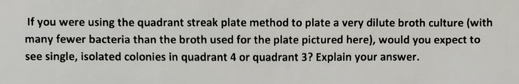 If you were using the quadrant streak plate method to plate a very dilute broth culture (with
many fewer bacteria than the broth used for the plate pictured here), would you expect to
see single, isolated colonies in quadrant 4 or quadrant 3? Explain your answer.
