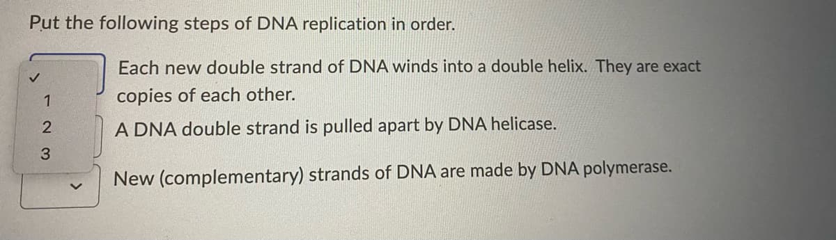 Put the following steps of DNA replication in order.
Each new double strand of DNA winds into a double helix. They are exact
1
copies of each other.
A DNA double strand is pulled apart by DNA helicase.
New (complementary) strands of DNA are made by DNA polymerase.
2 3
