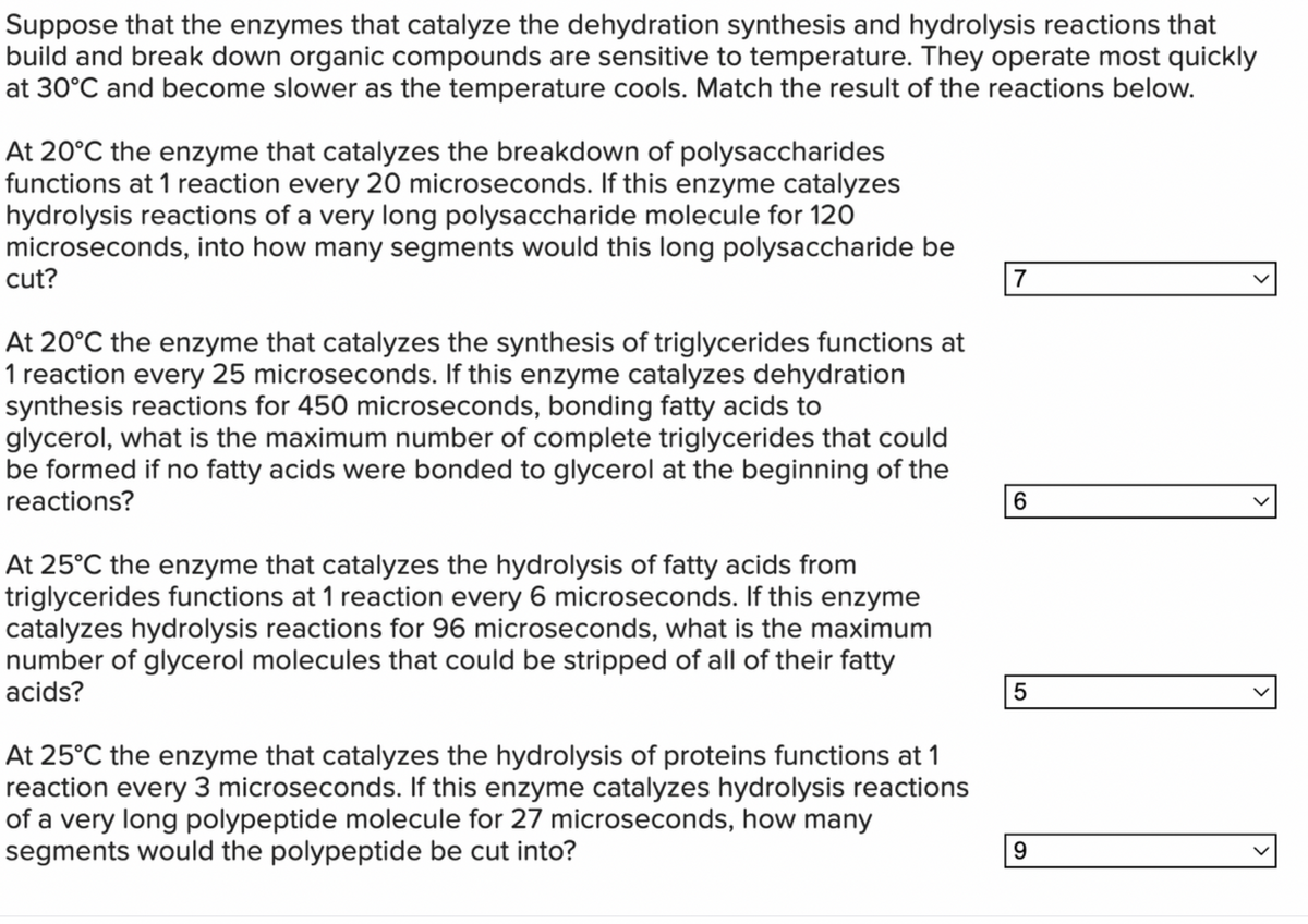 Suppose that the enzymes that catalyze the dehydration synthesis and hydrolysis reactions that
build and break down organic compounds are sensitive to temperature. They operate most quickly
at 30°C and become slower as the temperature cools. Match the result of the reactions below.
At 20°C the enzyme that catalyzes the breakdown of polysaccharides
functions at 1 reaction every 20 microseconds. If this enzyme catalyzes
hydrolysis reactions of a very long polysaccharide molecule for 120
microseconds, into how many segments would this long polysaccharide be
cut?
At 20°C the enzyme that catalyzes the synthesis of triglycerides functions at
1 reaction every 25 microseconds. If this enzyme catalyzes dehydration
synthesis reactions for 450 microseconds, bonding fatty acids to
glycerol, what is the maximum number of complete triglycerides that could
be formed if no fatty acids were bonded to glycerol at the beginning of the
reactions?
At 25°C the enzyme that catalyzes the hydrolysis of fatty acids from
triglycerides functions at 1 reaction every 6 microseconds. If this enzyme
catalyzes hydrolysis reactions for 96 microseconds, what is the maximum
number of glycerol molecules that could be stripped of all of their fatty
acids?
At 25°C the enzyme that catalyzes the hydrolysis of proteins functions at 1
reaction every 3 microseconds. If this enzyme catalyzes hydrolysis reactions
of a very long polypeptide molecule for 27 microseconds, how many
segments would the polypeptide be cut into?
7
6
5
9