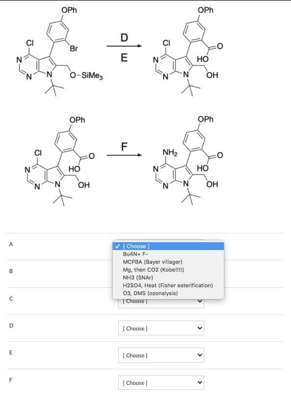 OPh
OPh
D
CI
Br
N
E
N
Но
o-SiMeg
OH
OPh
OPh
F
NH2
Но
N
Но
OH
OH
A
V ( Choose ]
Bu4N+ F-
МСРВА (Ваyer villager)
Mg, then CO2 (Kobe!!!!)
NH3 (SNAR)
H2S04, Heat (Fisher esterification)
03, DMS (ozonalysis)
Choose
(Choose )
E
[ Choose )
F
[ Choose )
B.
