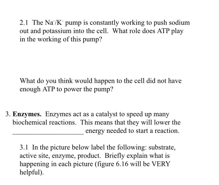2.1 The Na'/K' pump is constantly working to push sodium
out and potassium into the cell. What role does ATP play
in the working of this pump?
What do you think would happen to the cell did not have
enough ATP to power the pump?
3. Enzymes. Enzymes act as a catalyst to speed up many
biochemical reactions. This means that they will lower the
energy needed to start a reaction.
3.1 In the picture below label the following: substrate,
active site, enzyme, product. Briefly explain what is
happening in each picture (figure 6.16 will be VERY
helpful).
