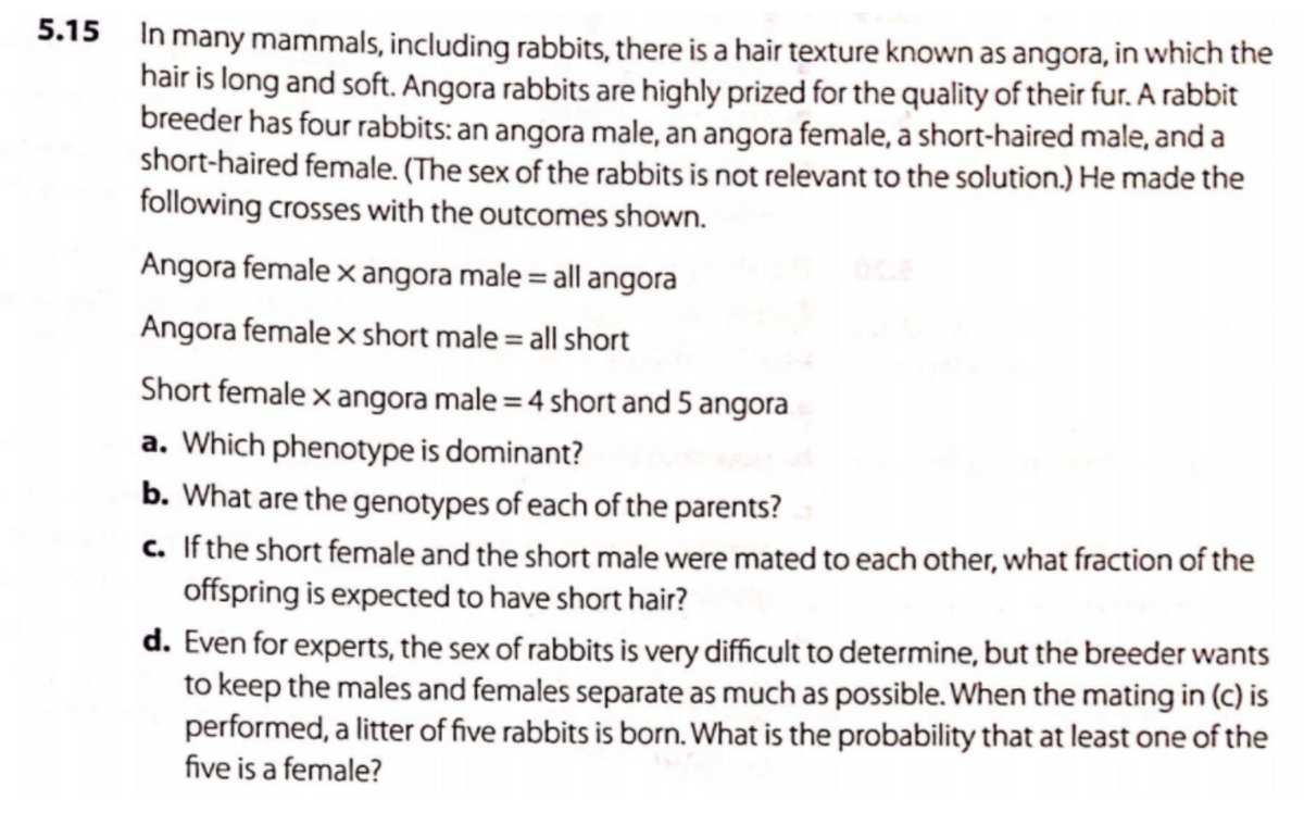 In many mammals, including rabbits, there is a hair texture known as angora, in which the
hair is long and soft. Angora rabbits are highly prized for the quality of their fur. A rabbit
breeder has four rabbits: an angora male, an angora female, a short-haired male, and a
short-haired female. (The sex of the rabbits is not relevant to the solution.) He made the
following crosses with the outcomes shown.
Angora female x angora male = all angora
Angora female x short male = all short
Short female x angora male = 4 short and 5 angora
a. Which phenotype is dominant?
b. What are the genotypes of each of the parents?
c. If the short female and the short male were mated to each other, what fraction of the
offspring is expected to have short hair?
d. Even for experts, the sex of rabbits is very difficult to determine, but the breeder wants
to keep the males and females separate as much as possible. When the mating in (c) is
performed, a litter of five rabbits is born. What is the probability that at least one of the
five is a female?
