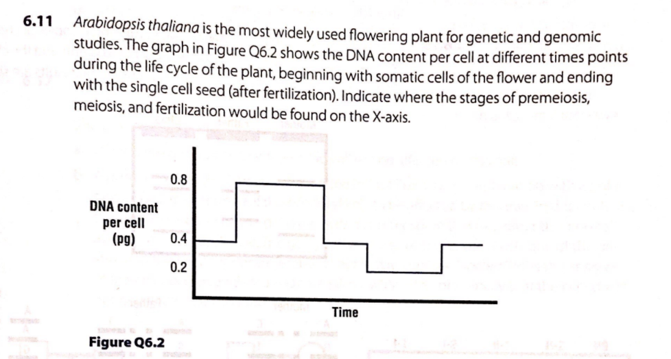 6.11
Arabidopsis thaliana is the most widely used flowering plant for genetic and genomic
studies. The graph in Figure Q6.2 shows the DNA content per cell at different times points
during the life cycle of the plant, beginning with somatic cells of the flower and ending
with the single cell seed (after fertilization). Indicate where the stages of premeiosis,
meiosis, and fertilization would be found on the X-axis.
0.8
DNA content
per cell
(pg)
0.4
0.2
Time
Figure Q6.2
