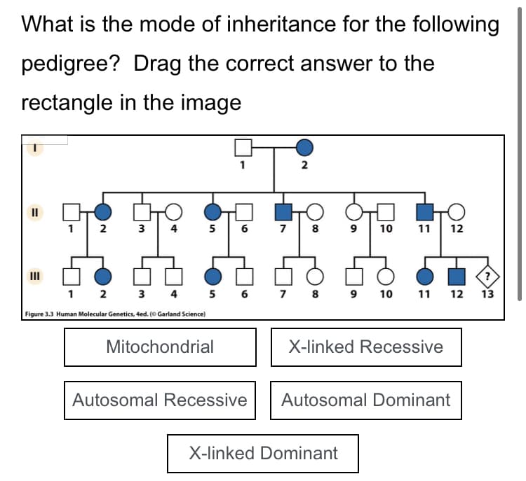 What is the mode of inheritance for the following
pedigree? Drag the correct answer to the
rectangle in the image
||
E
1
2
3 4
1 2
Figure 3.3 Human Molecular Genetics, 4ed. (© Garland Science)
1
5 6
Mitochondrial
2
?
3 4 5 6 7 8 9 10 11 12 13
Autosomal Recessive
7 8
9 10 11 12
X-linked Recessive
Autosomal Dominant
X-linked Dominant