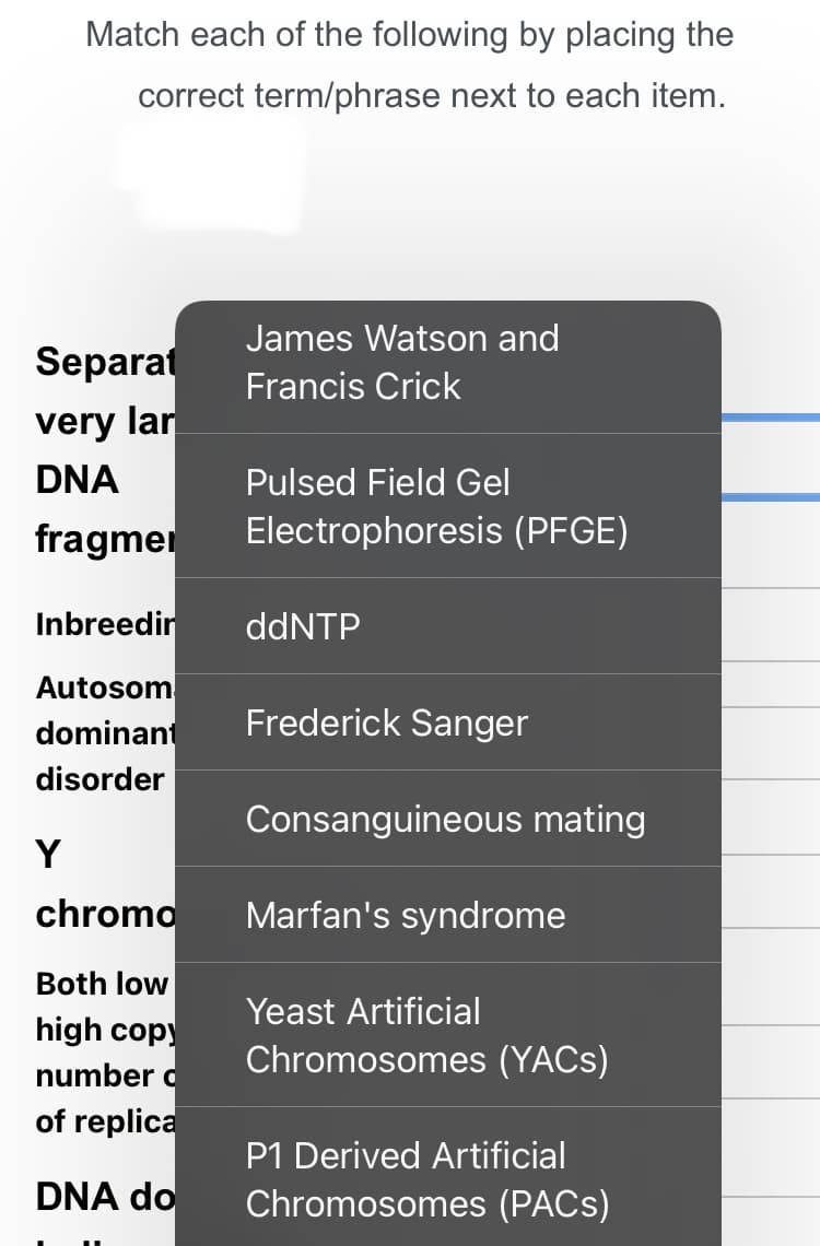 Match each of the following by placing the
correct term/phrase next to each item.
Separat
very lar
DNA
fragmer
Inbreedin
Autosom
dominant
disorder
Y
chromo
Both low
high copy
number o
of replica
DNA do
James Watson and
Francis Crick
Pulsed Field Gel
Electrophoresis (PFGE)
ddNTP
Frederick Sanger
Consanguineous mating
Marfan's syndrome
Yeast Artificial
Chromosomes (YACs)
P1 Derived Artificial
Chromosomes (PACS)