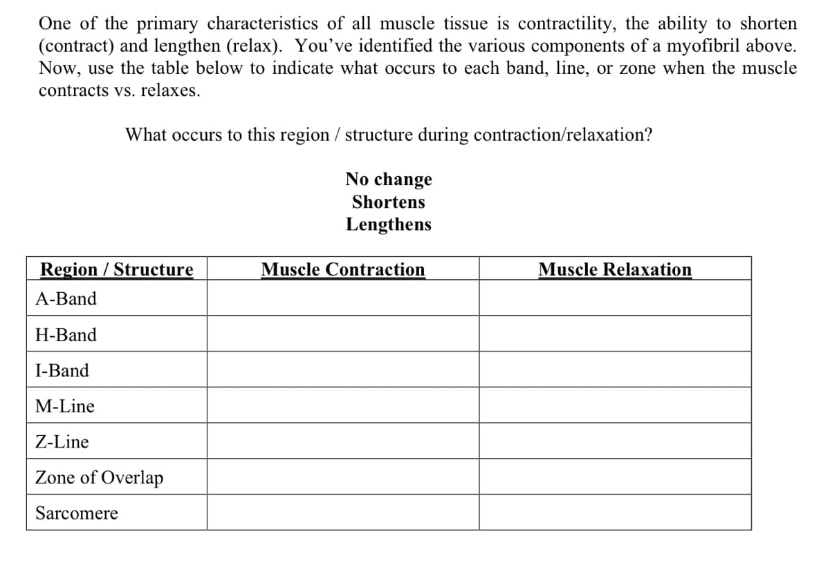 One of the primary characteristics of all muscle tissue is contractility, the ability to shorten
(contract) and lengthen (relax). You've identified the various components of a myofibril above.
Now, use the table below to indicate what occurs to each band, line, or zone when the muscle
contracts vs. relaxes.
What occurs to this region / structure during contraction/relaxation?
Region / Structure
A-Band
H-Band
I-Band
M-Line
Z-Line
Zone of Overlap
Sarcomere
No change
Shortens
Lengthens
Muscle Contraction
Muscle Relaxation