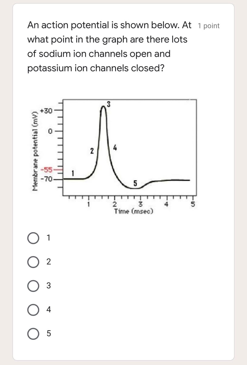 An action potential is shown below. At 1 point
what point in the graph are there lots
of sodium ion channels open and
potassium ion channels closed?
3
A
2
-55
-70-
5
1
2
3
Time (msec)
Membrane potential (mv)
02
3
O 4
O 5